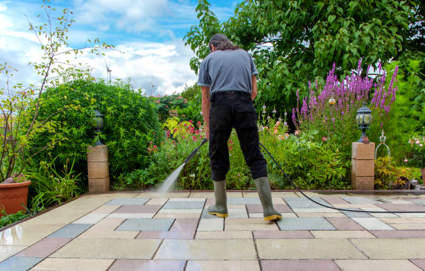Best Animal Enclosure Cleaning  in Bloomville, OH